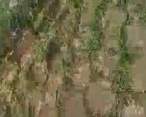 Espiando a la colegiala en el parque cogiendo