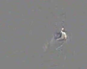 DreamCam.Vivi.Fernandez.01