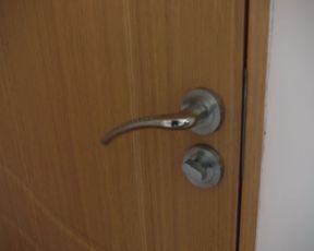 hidori - kyoko kirigiri used by mysterious beast