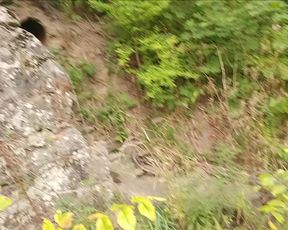 Candiecane Candiecane Stop 308 Public Outdoor Lake Pee in private premium video