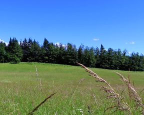 Kati3kat Strawberry cream