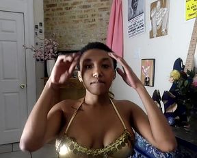 Cam 133