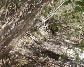 Blonde Halloween Peacock Sunbathing Striptease goes Wrong Possum Stops her