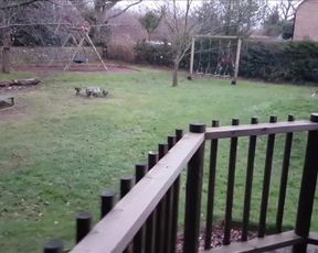 Outdoor Fucking & Gargling