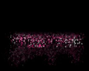 Nephael Gourmandise - Duo Nikita Bellucci