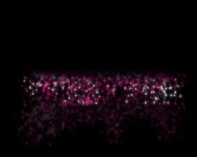 Nephael Je danse pour Nikita Bellucci 2