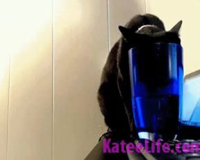 KateeLife 00.00.11_480_88E39F9A5E5CCB331E586FD06EBEC4B3