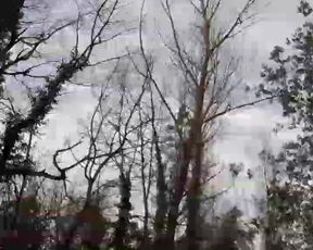 Fauvesexy webcam show 2020-02-25_14-39-44_766