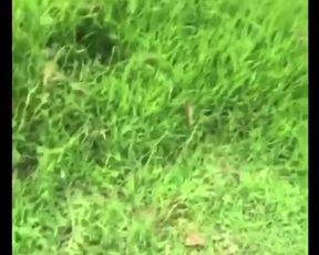 Girl gives head in leather jacket