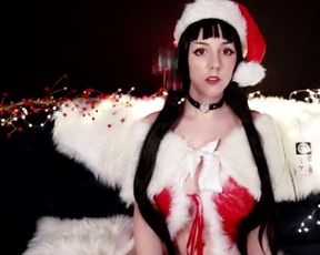 Christmas pet.