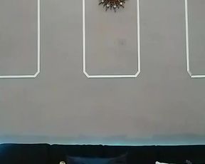 True vega cam recording 2020-07-13 19-32-40 626