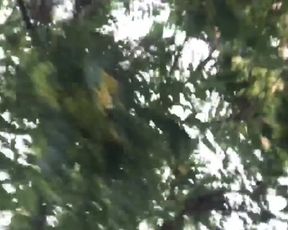 Treshgirls cam recording 2020-07-13 12-04-09 754
