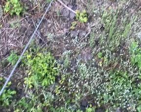 So cutes webcam show 2020-07-24 14-36-28 405